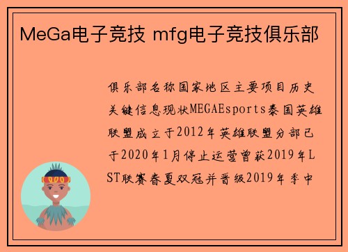 MeGa电子竞技 mfg电子竞技俱乐部