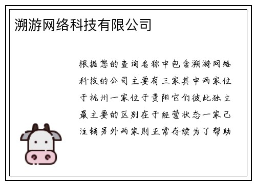溯游网络科技有限公司